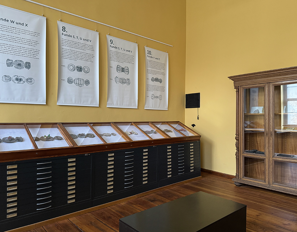 SAURO[SYN]THESEN, Ausstellungsansicht, Universitätsmuseum der MLU, Halle (Saale) Foto: Beate Eismann
