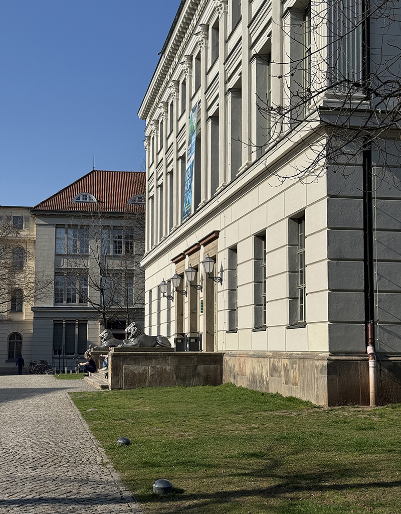Universitätsmuseum der MLU, Halle (Saale) Foto: Beate Eismann